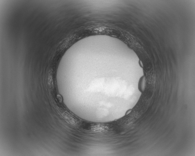 X0000067830754200605041623