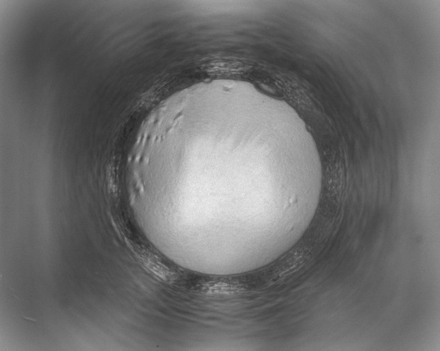 X0000067830755200605041623