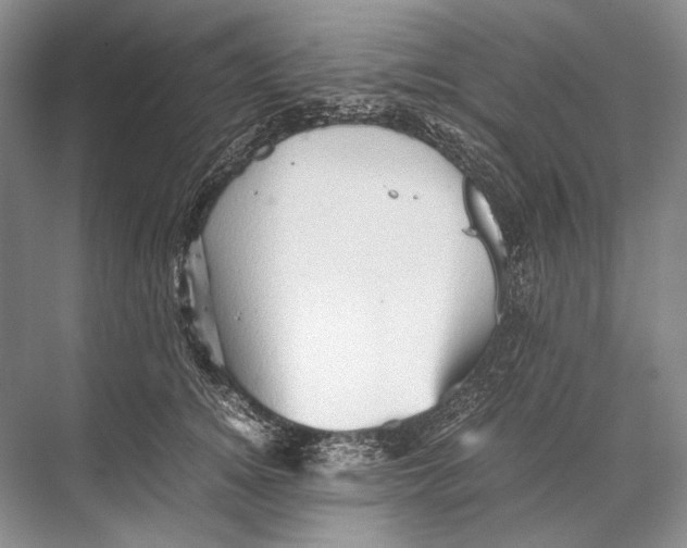 X0000067830756200605041623