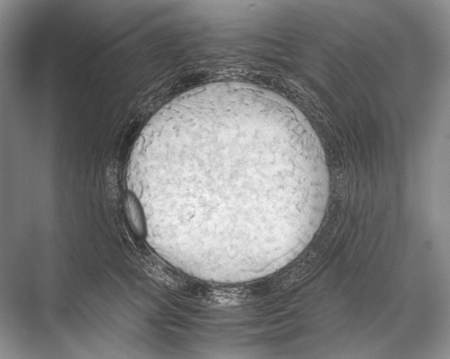 X0000067830757200605041623