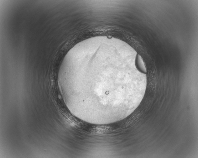 X0000067830758200605041623