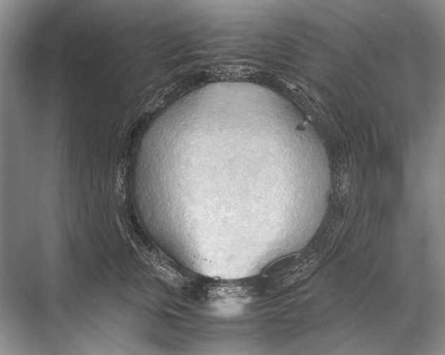 X0000067830759200605041623