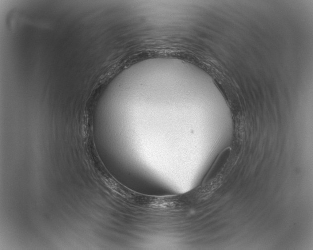 X0000067830760200605041623