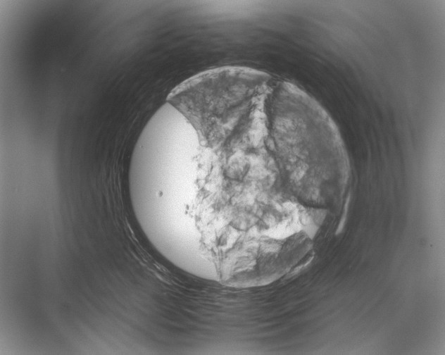 X0000067830761200605041623