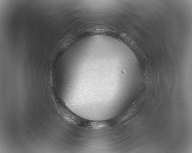 X0000067830762200605041623