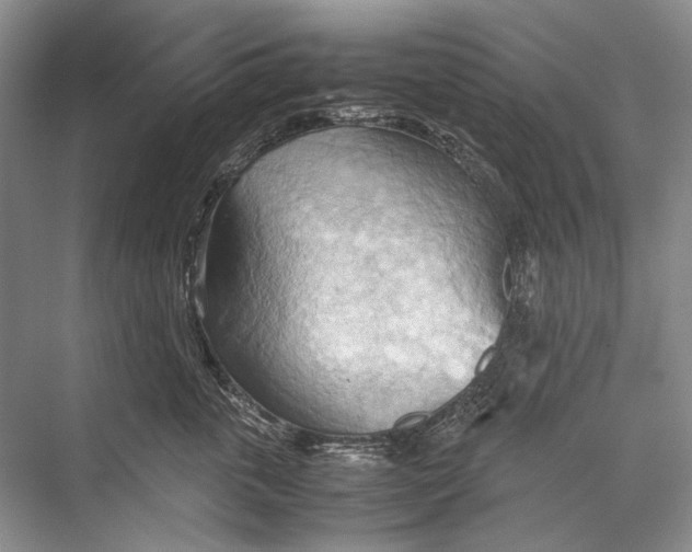 X0000067830763200605041623