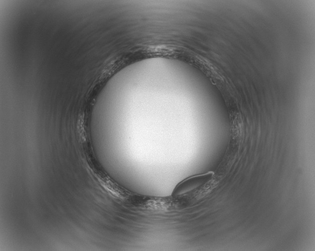 X0000067830764200605041623