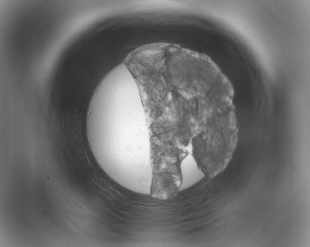 X0000067830765200605041623