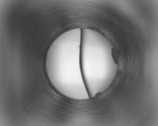 X0000067830766200605041623