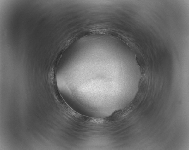 X0000067830767200605041623