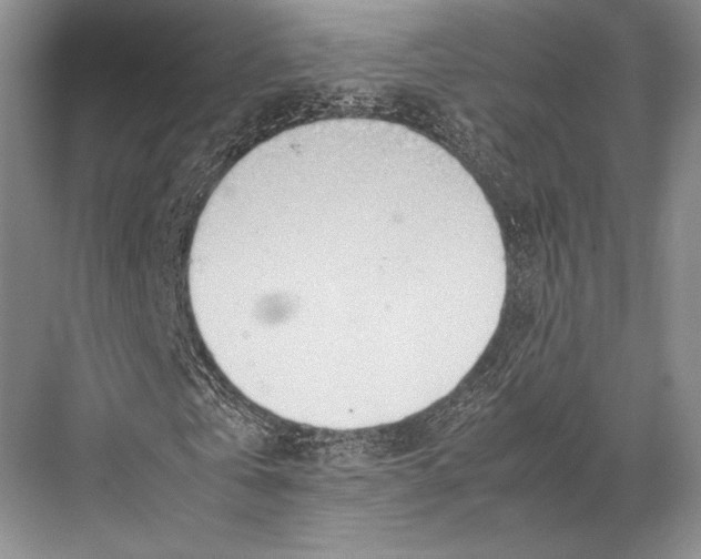 X0000067830769200605041622