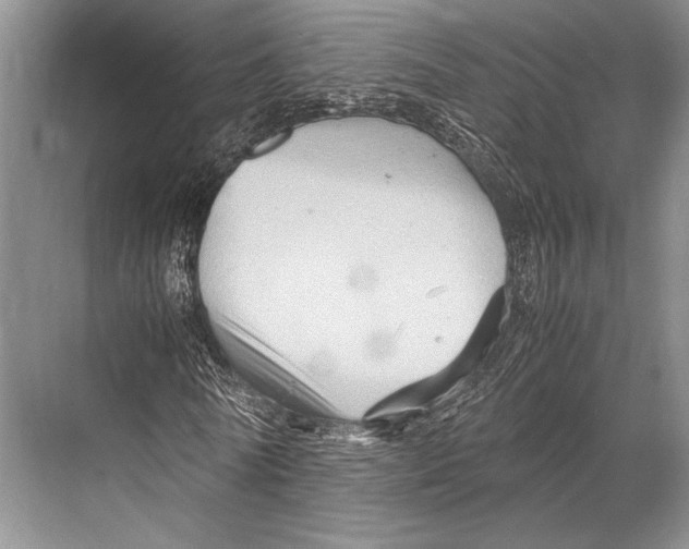 X0000067830770200605041622