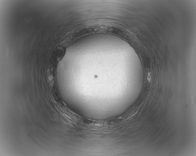 X0000067830771200605041622