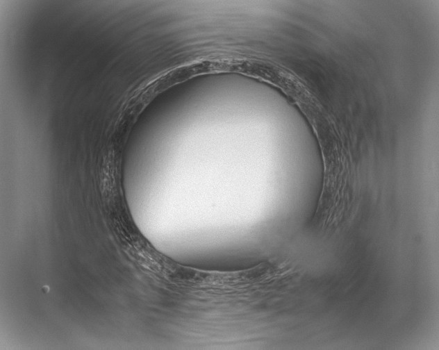 X0000067830773200605041622