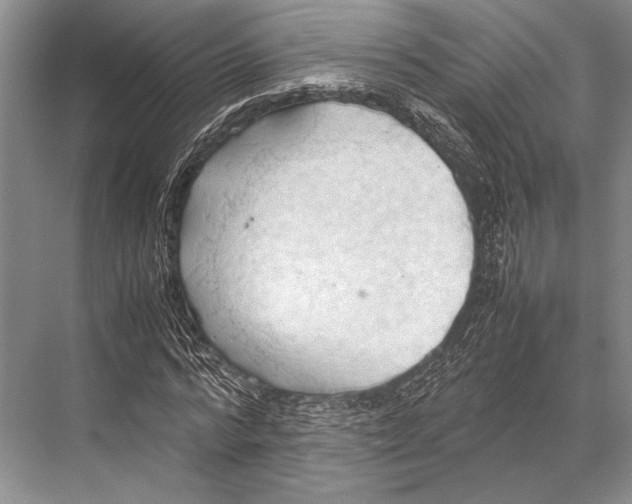 X0000067830776200605041622