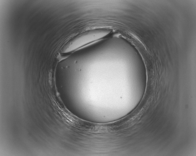 X0000067830777200605041622