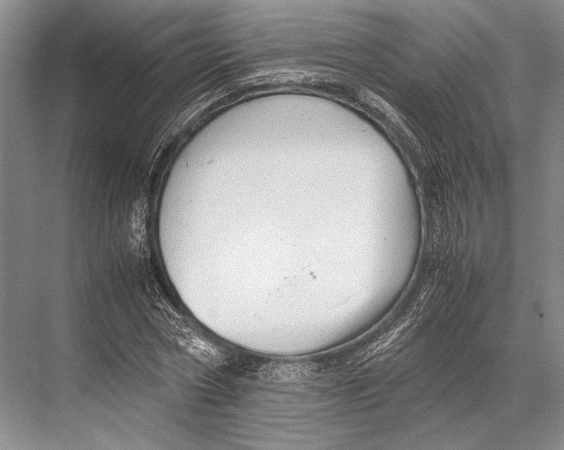 X0000067830778200605041622