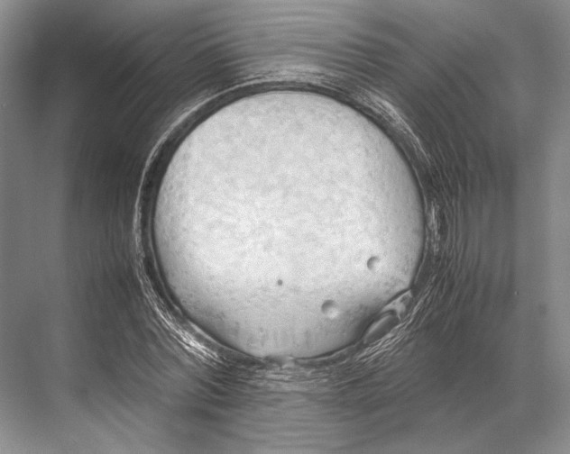 X0000067830780200605041622