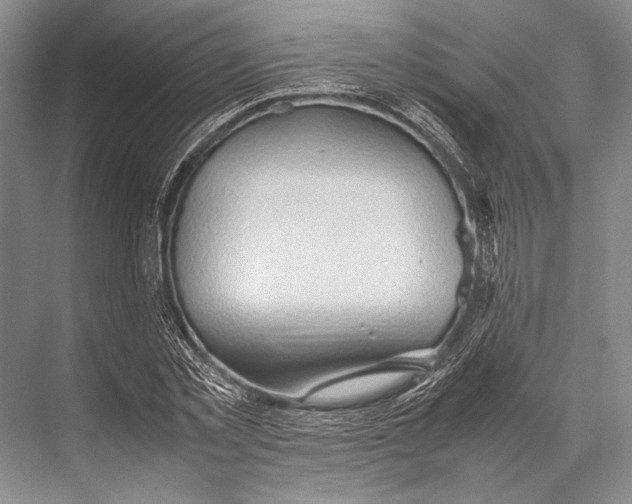 X0000067830781200605041622