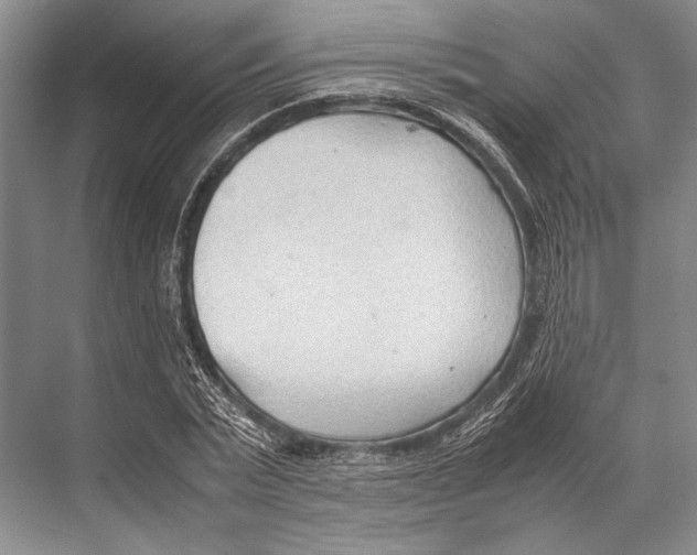 X0000067830783200605041622