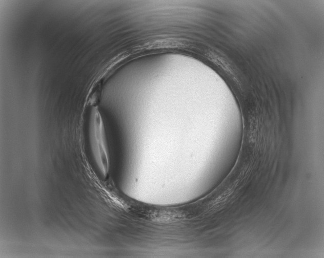 X0000067830786200605041622