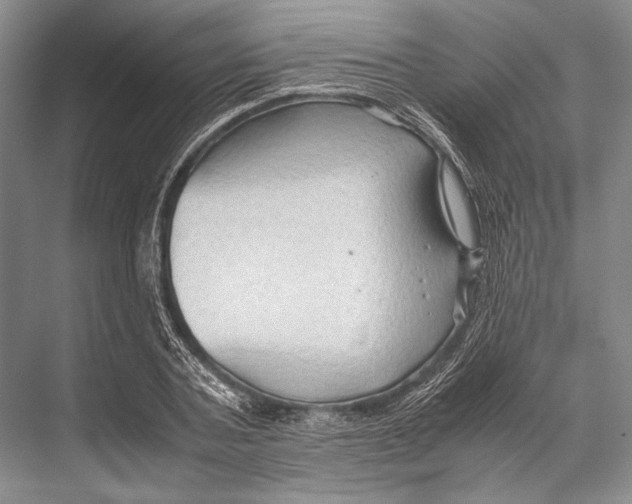 X0000067830787200605041622