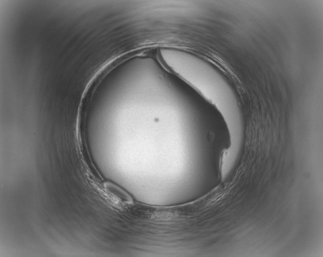 X0000067830788200605041622