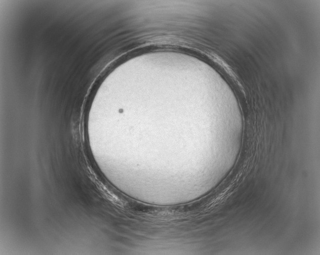 X0000067830791200605041622