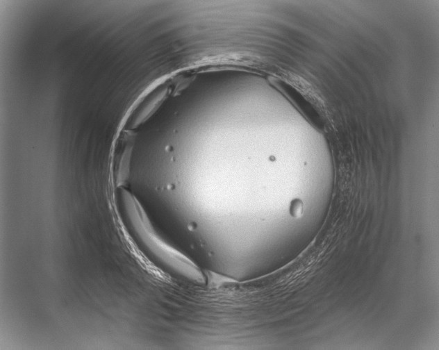 X0000067830792200605041622