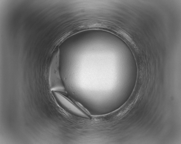 X0000067830793200605041622