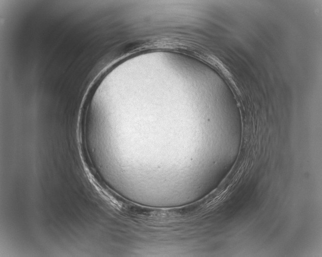 X0000067830795200605041622