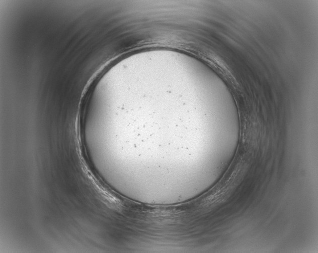 X0000067830796200605041622