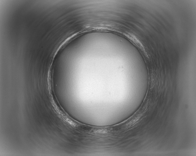 X0000067830798200605041622