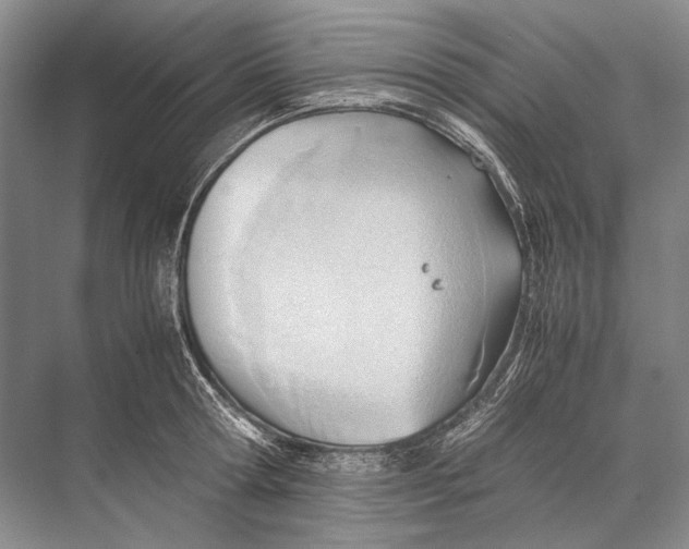 X0000067830802200605041622