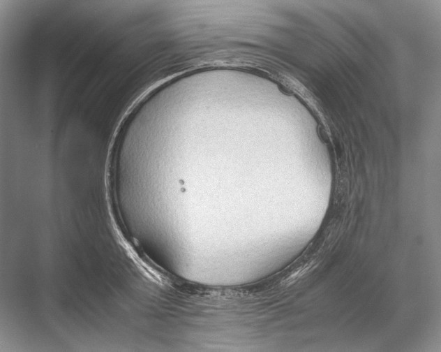 X0000067830803200605041622