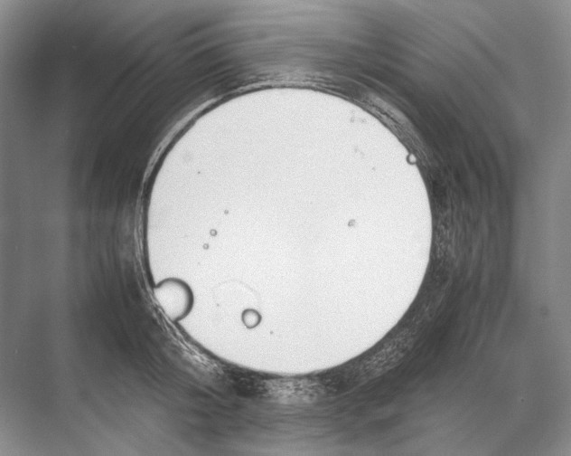 X0000067830804200605041622