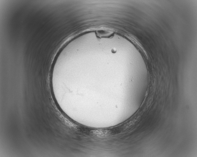 X0000067830805200605041622