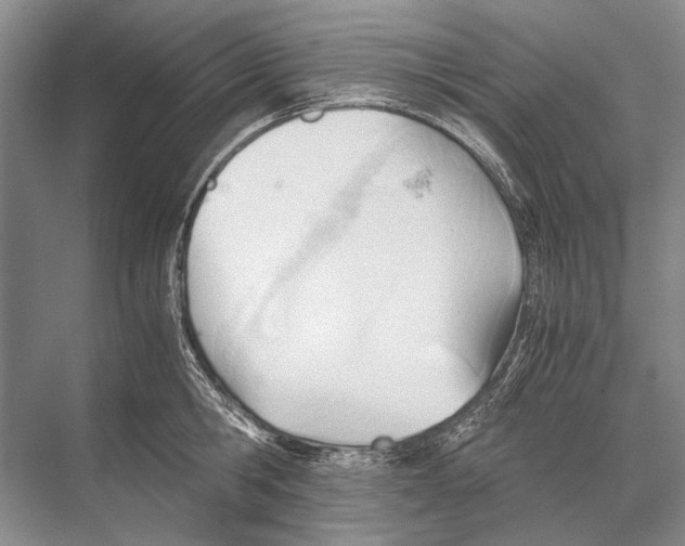 X0000067830806200605041622