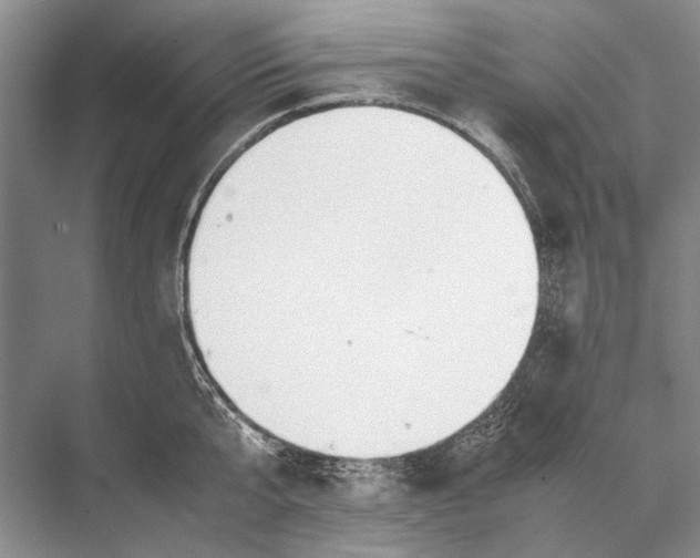 X0000067830807200605041622