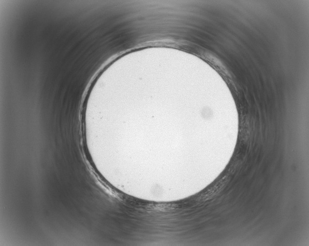 X0000067830808200605041622