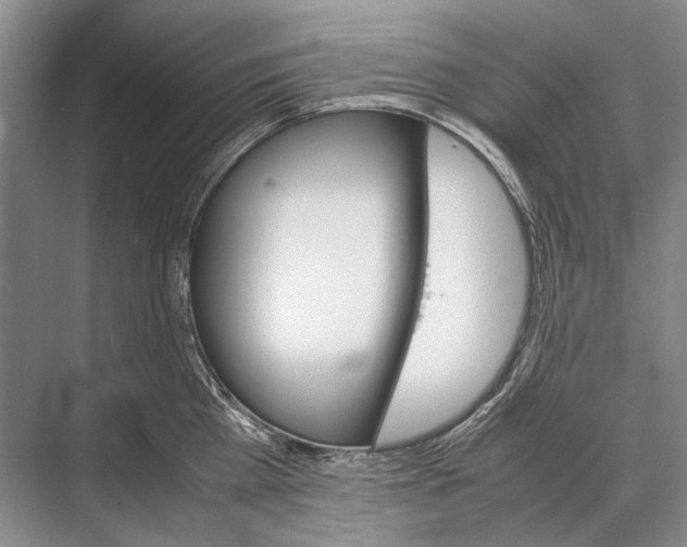 X0000067830809200605041622