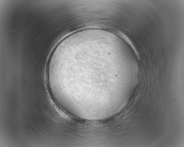 X0000067830811200605041622