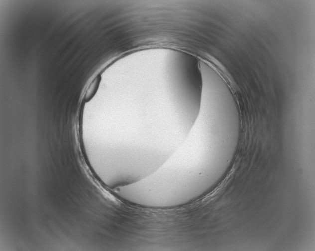 X0000067830812200605041622