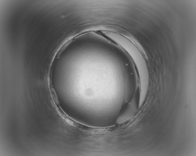 X0000067830813200605041622