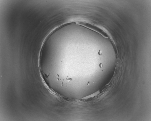 X0000067830815200605041622