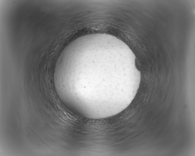 X0000067830817200605041621