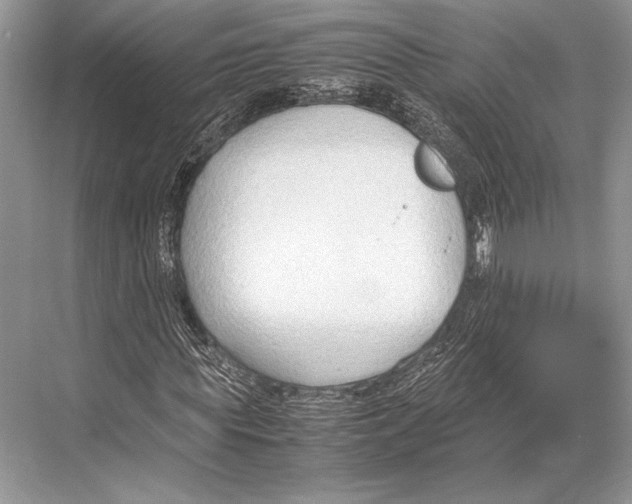 X0000067830819200605041621