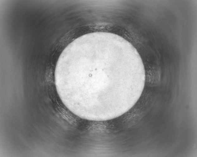 X0000067830820200605041621