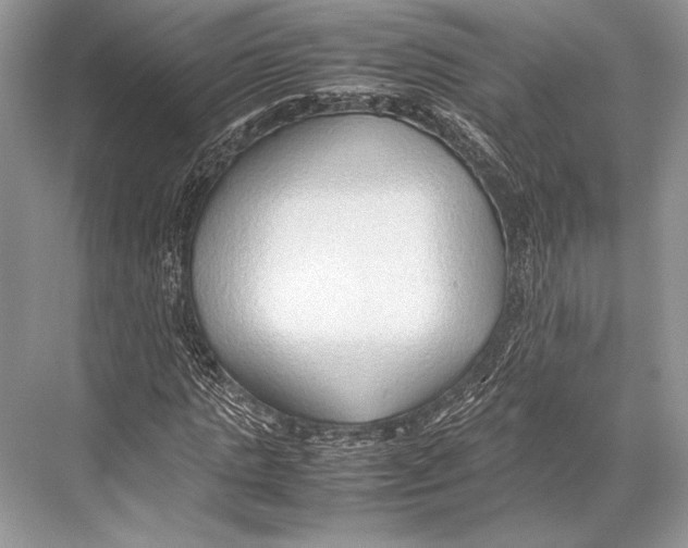 X0000067830821200605041621