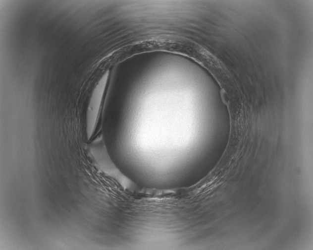 X0000067830822200605041621